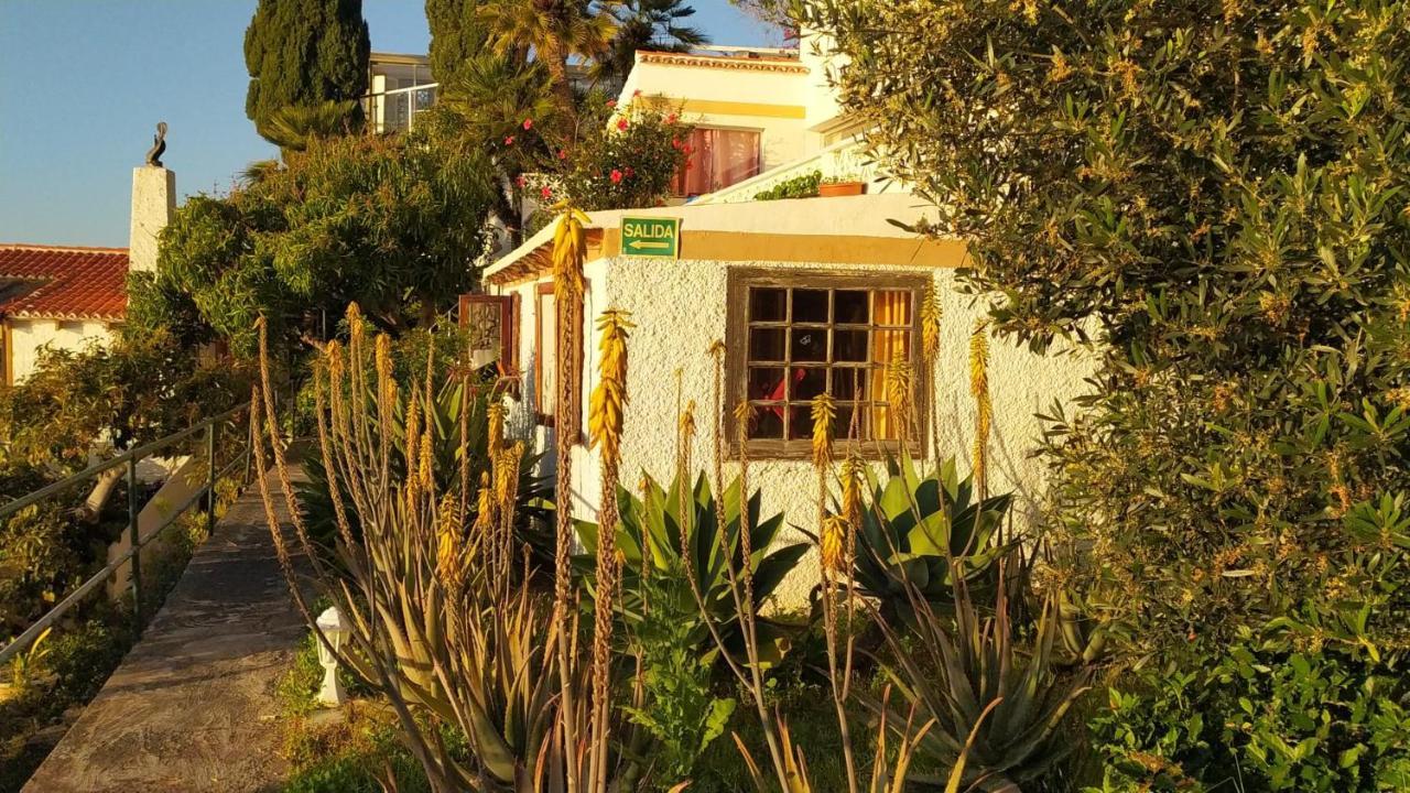 Willkommen Im Paradies - Welcome In Paradise - Bienvenidos Al Paraiso La Matanza De Acentejo エクステリア 写真