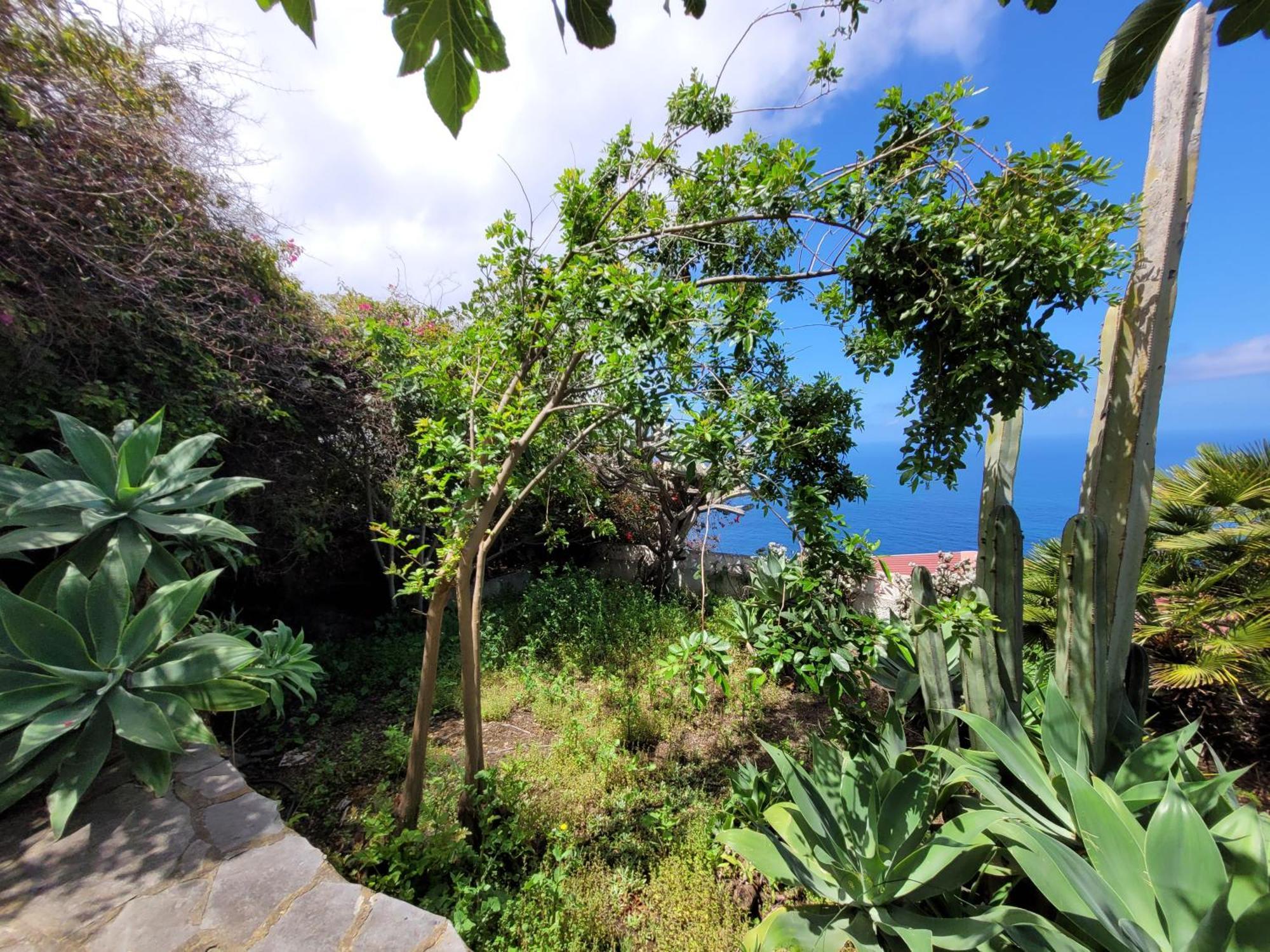 Willkommen Im Paradies - Welcome In Paradise - Bienvenidos Al Paraiso La Matanza De Acentejo エクステリア 写真
